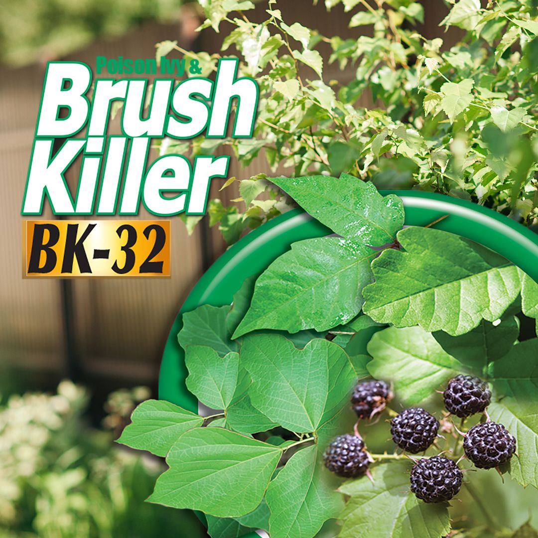Poison Ivy & Brush Killer Concentrate – Bonide – 16 oz